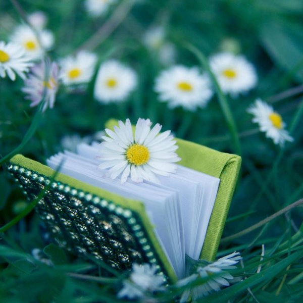 Лето с книгой