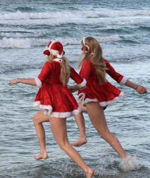 Новогодние приколы