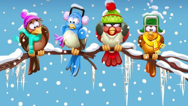 Холодное лето юмор