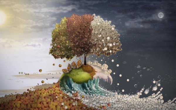 Яцек Йерка дерево