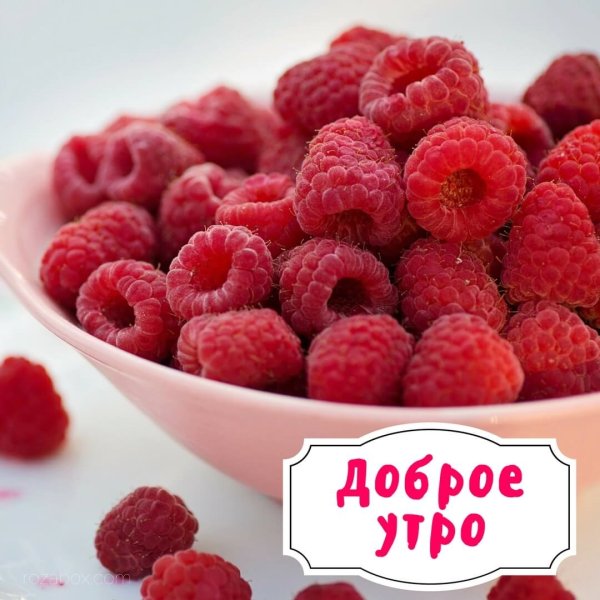 Открытка счастливого утра и дня