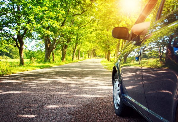 Лес дорога машина