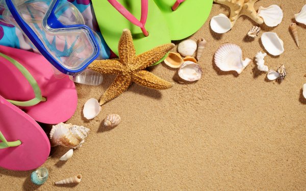 Заставка лето