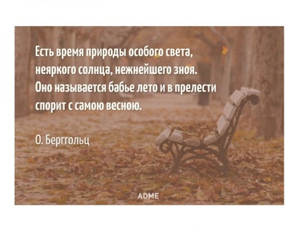 Смешные афоризмы про бабье лето