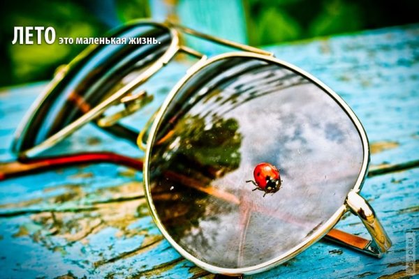 Лето - это маленькая жизнь