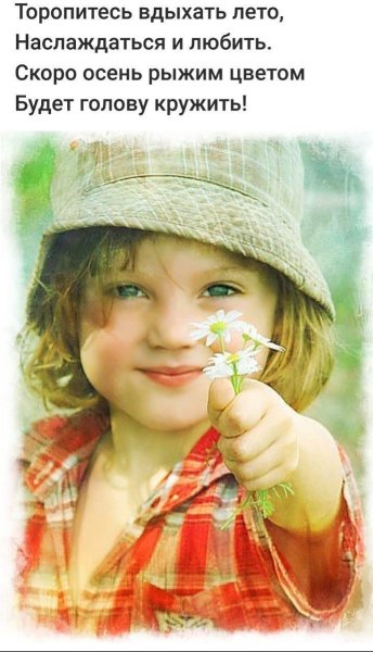 Цитаты про лето