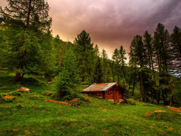 Одинокий дом в лесу