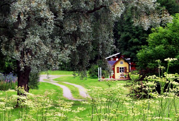 Домик на опушке леса