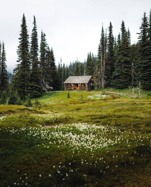 Пейзаж домик в лесу