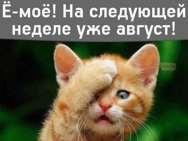 Настроение очень странный предмет