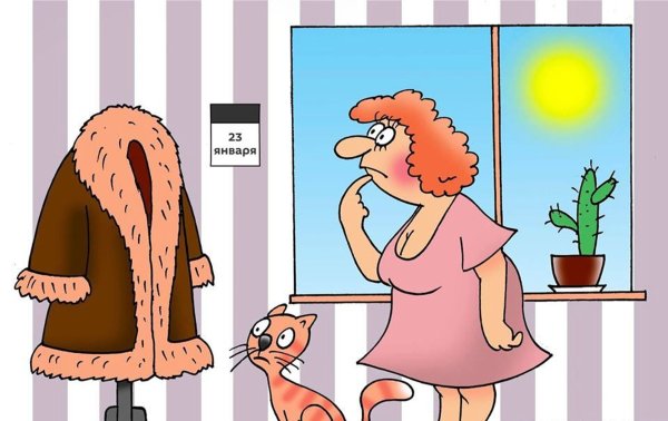 Шуба карикатура