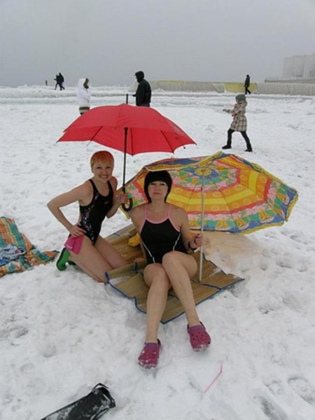 Про шубу прикольные