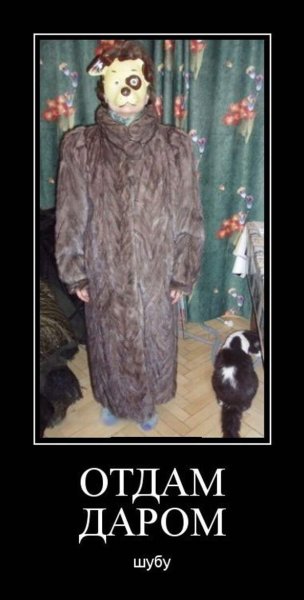 Шуба прикол