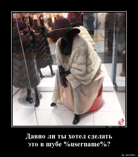 Чукчи на севере