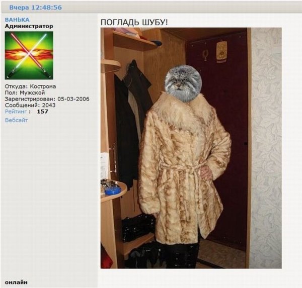 В шубе жарко