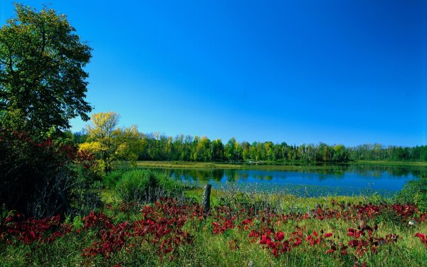 Природа закат