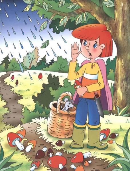 Поляна с ягодами и грибами