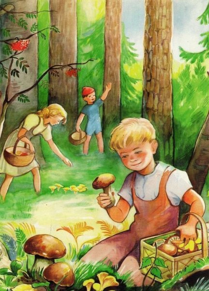 Грибы в осеннем лесу