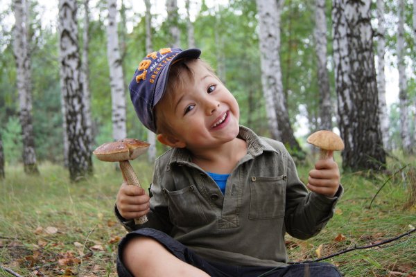 Ккартина "в лес по грибы" л.Новоселовой
