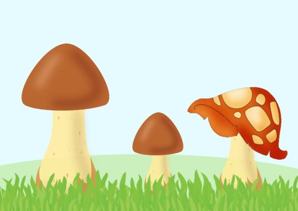 Грибы в лесу