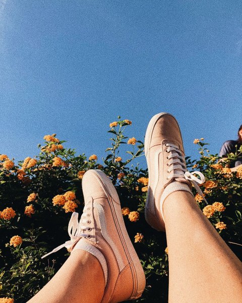 Лето Эстетика