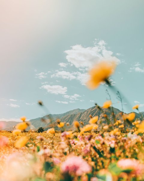 Эстетика лета