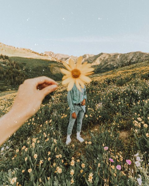 Лето Эстетика