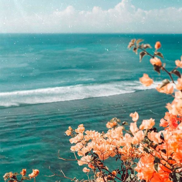 Лето Эстетика