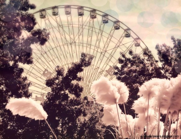 Лето Эстетика