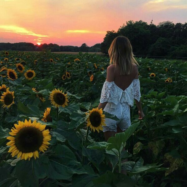 Блондинка в поле подсолнухов