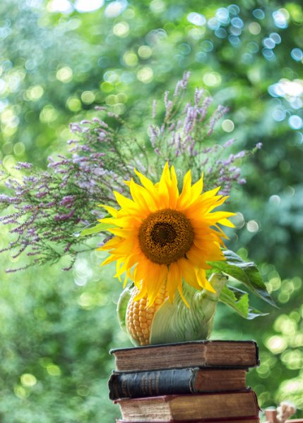 Лето.симфония счастья картинки