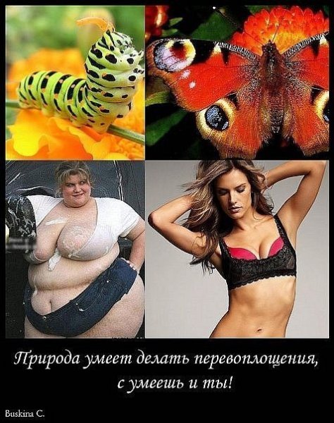 Худеем к лету фитнес