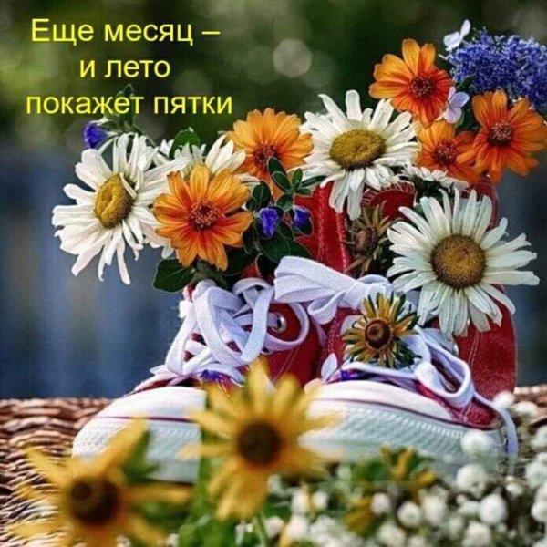 Пусть это лето