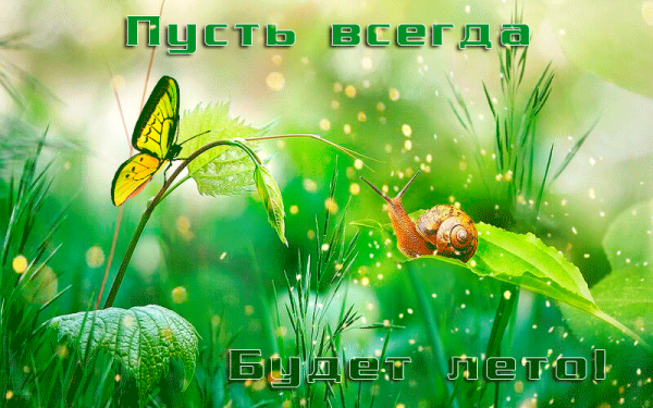 Позитивное лето