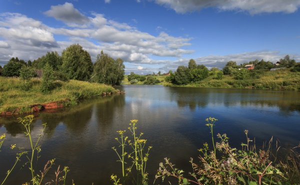 Молзино пруд