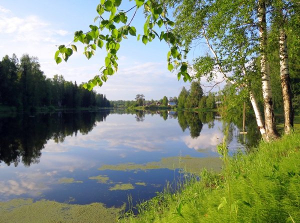 Природа деревня