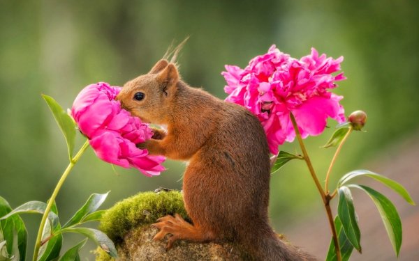 Геннадий Юсин фотограф выставка