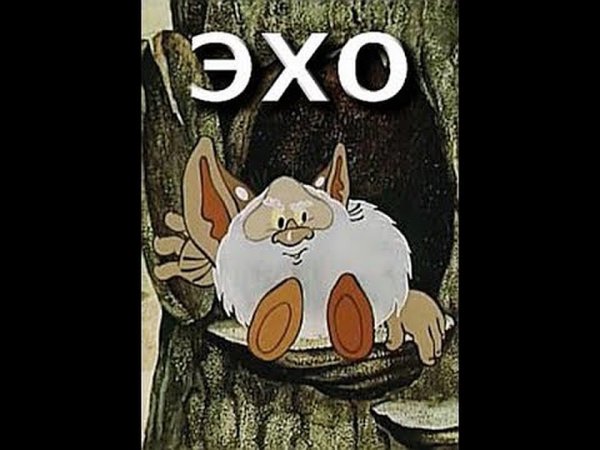 Эхо картинки