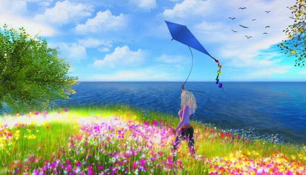 Лето воздушный змей