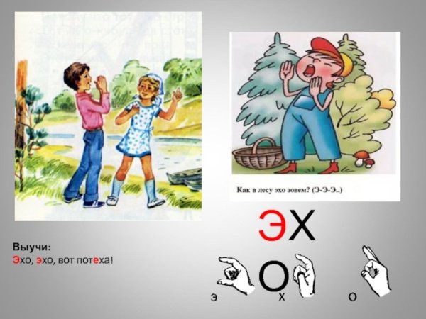 Эхо картинки