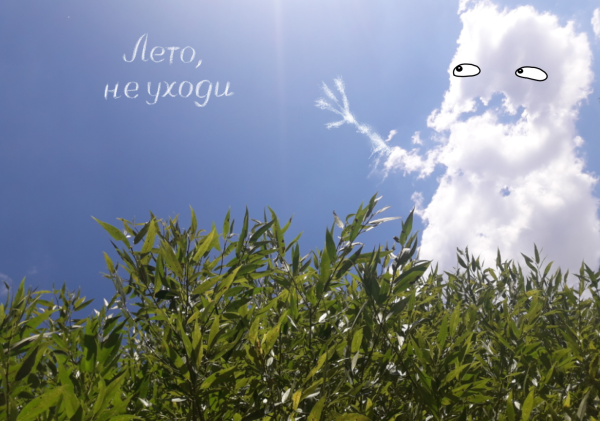 Лето не уходи фото