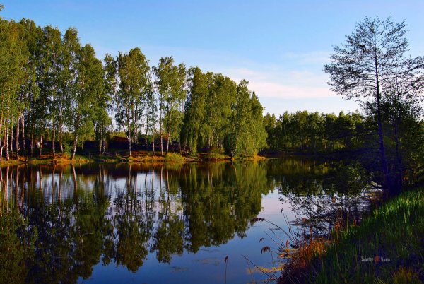 День поиска пропавшего Эха