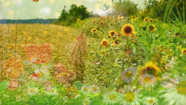 Отличного отдыха на даче