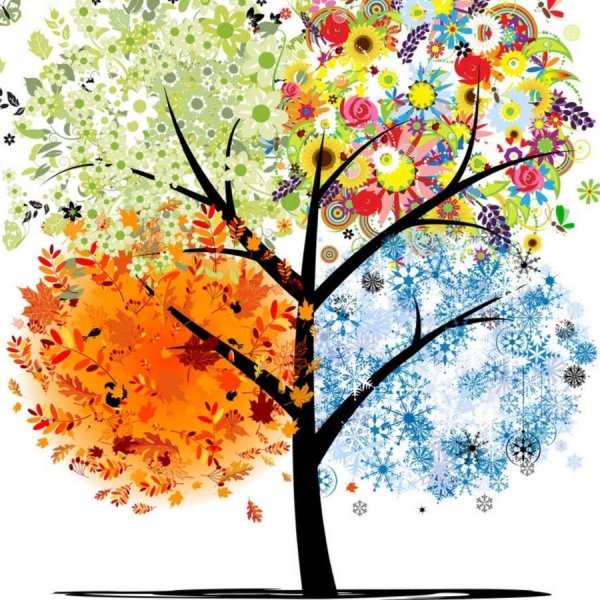 Дерево летом и осенью