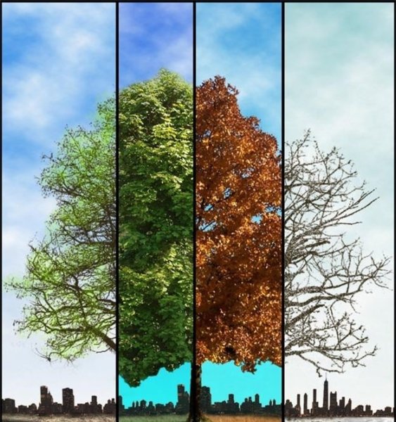 Времена года иллюстрации