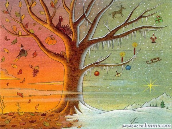 Дерево зимой летом осенью и весной