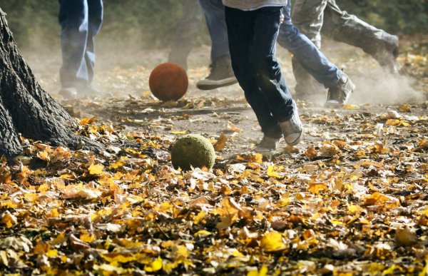 Игры для детей осенью