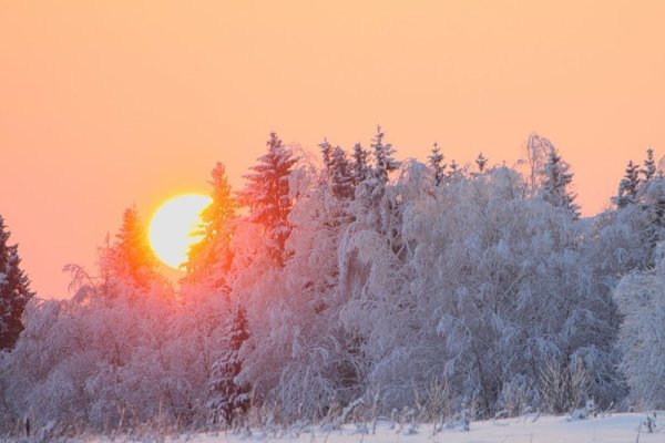 Зима лес солнце