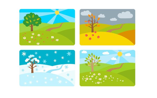 Солнце зимой