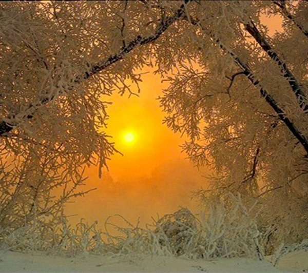 Солнечный зимний день